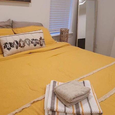 Brand New Home In South Philly!!! 费城 外观 照片